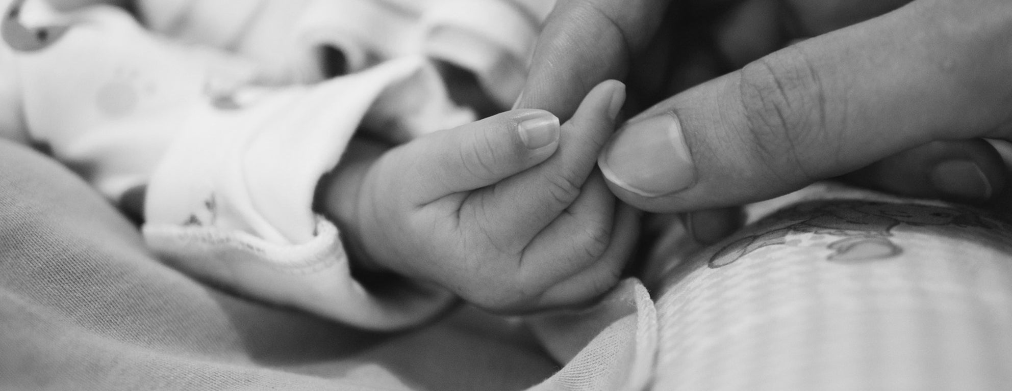 Black and white close up of an adult gently holding a baby's hand